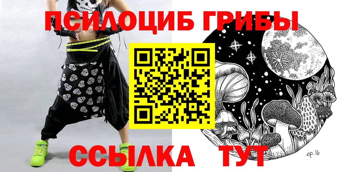 Псилоцибиновые грибы Psilocybe  Вход с VPN  Белово 